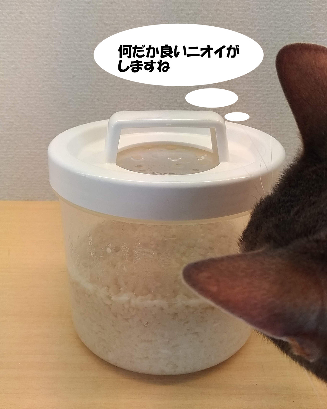 何だか甘くて良いニオイby猫