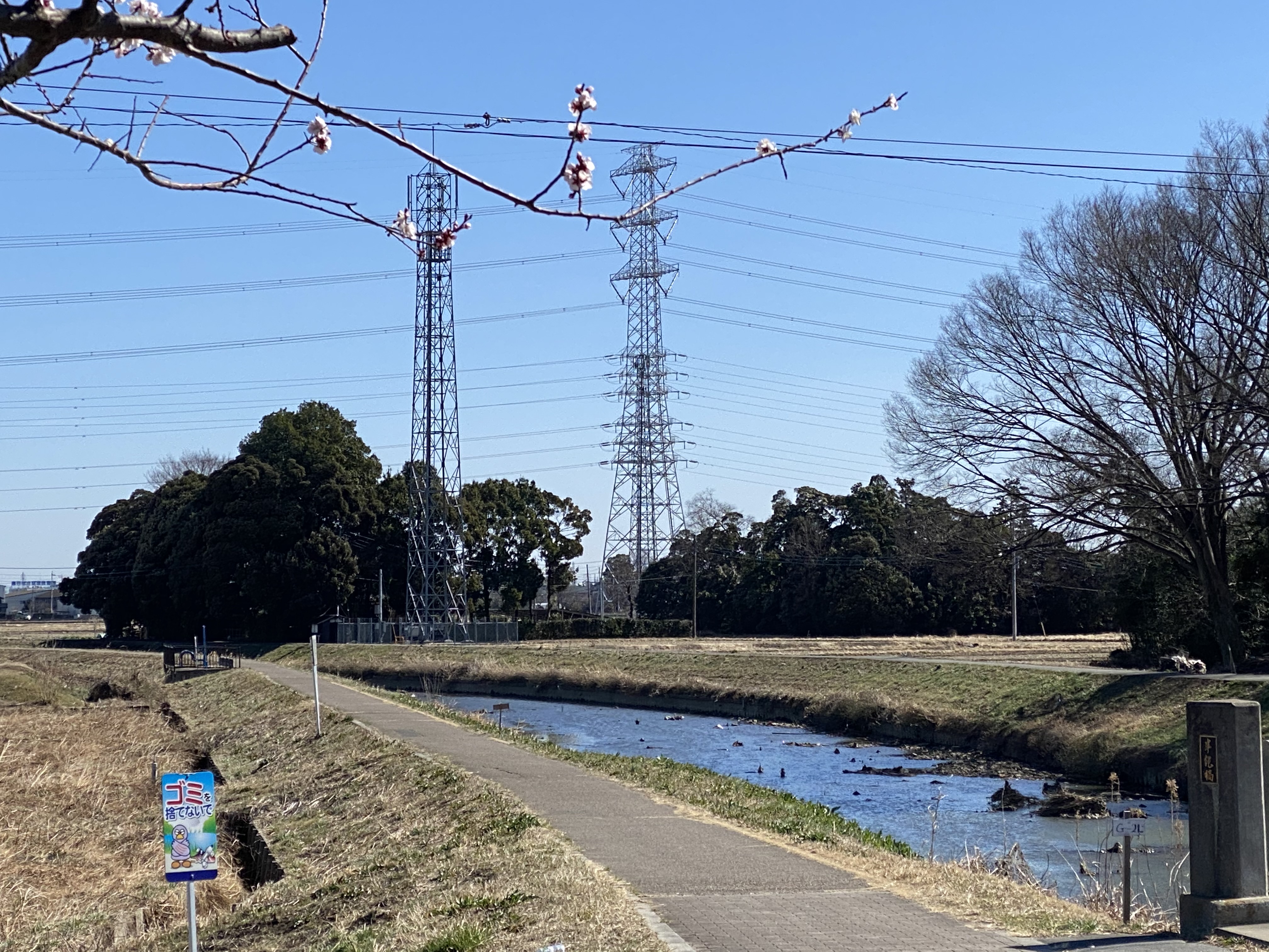 隼人堀川沿い