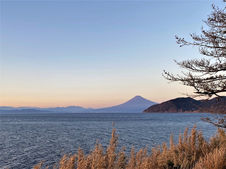 駿河湾と富士山