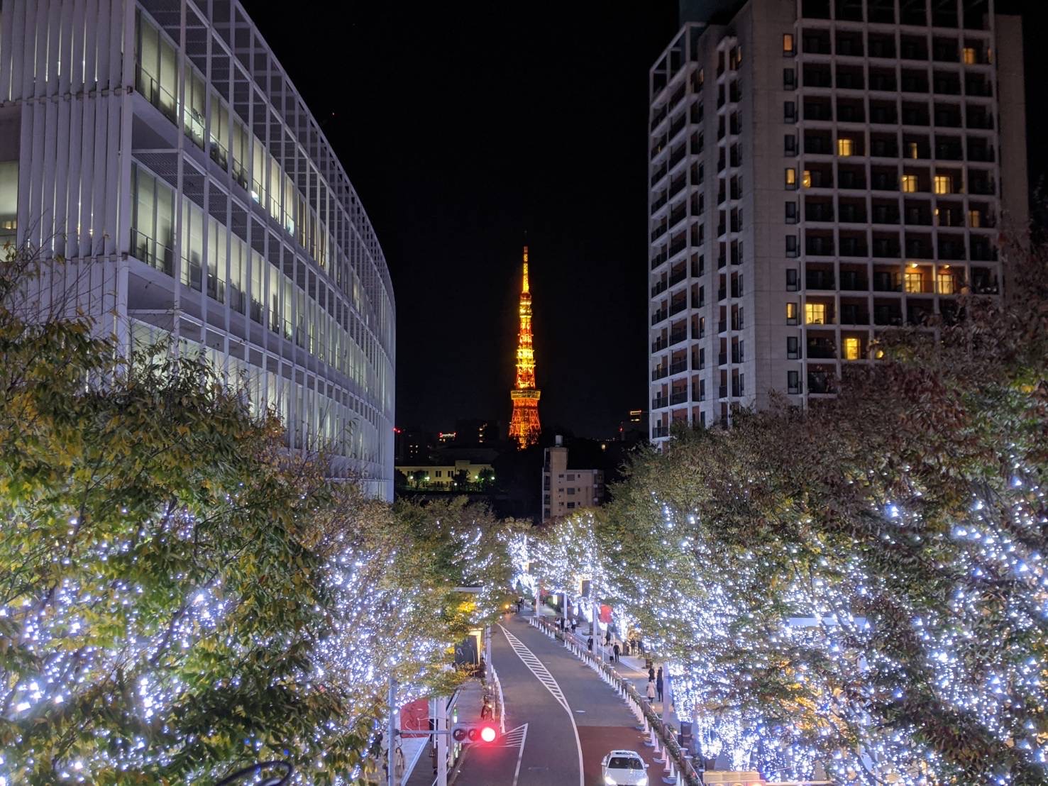 東京タワーの夜景