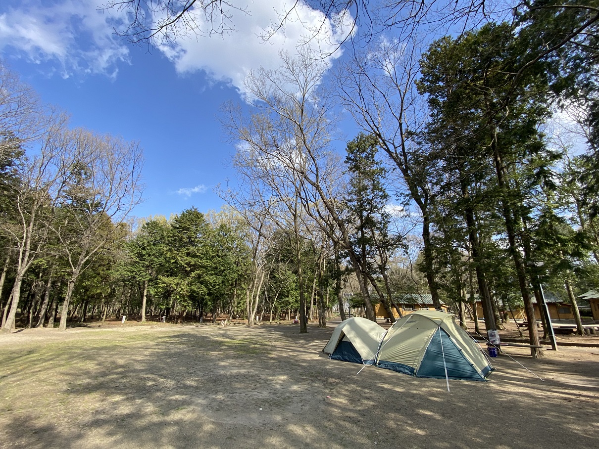 テントを設営したキャンプ場