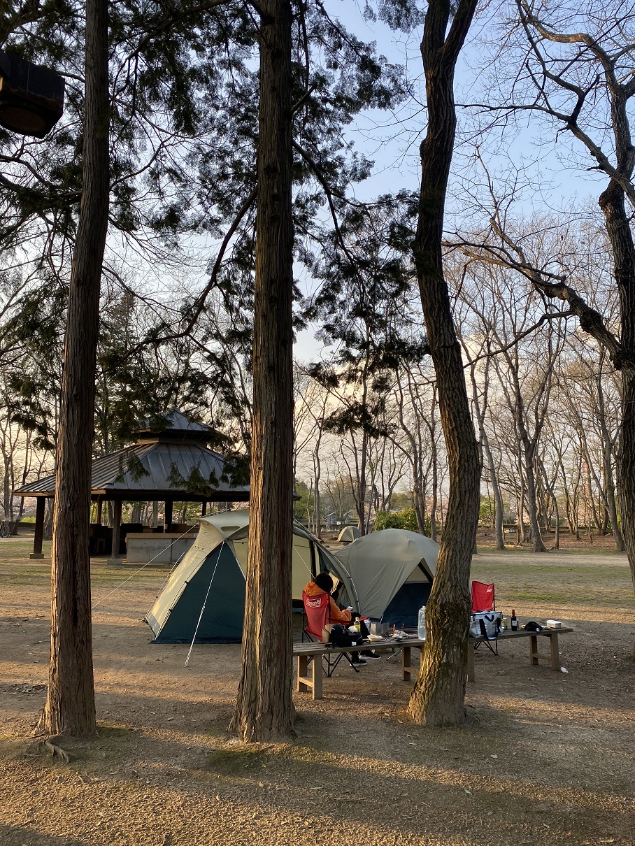 夕暮れのキャンプ場